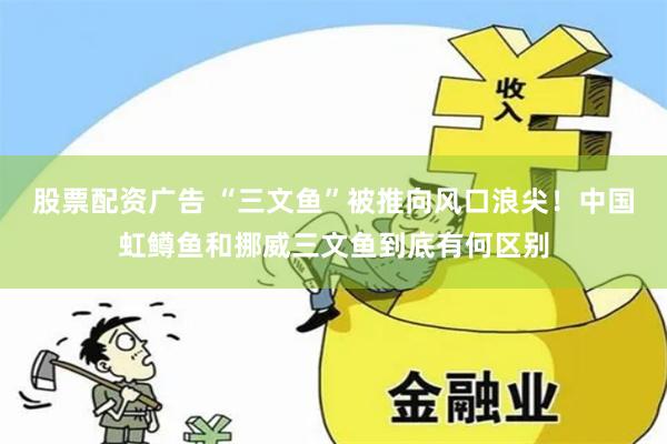 股票配资广告 “三文鱼”被推向风口浪尖！中国虹鳟鱼和挪威三文鱼到底有何区别