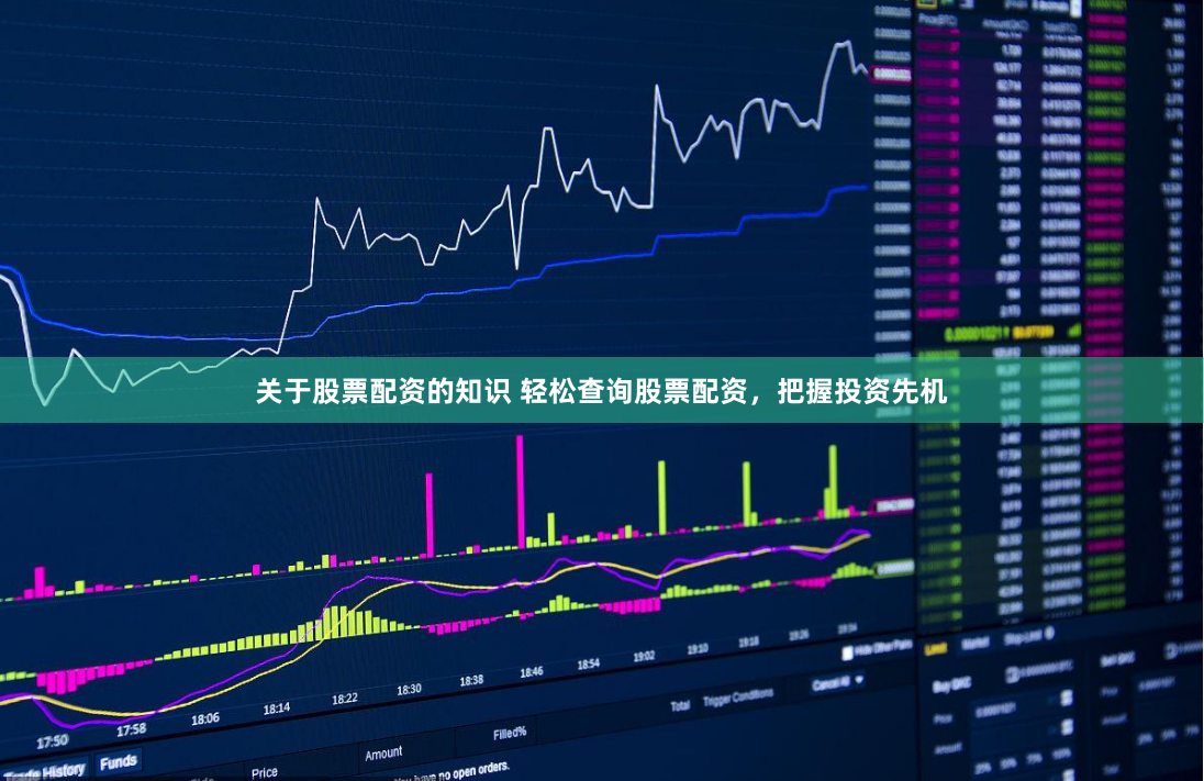 关于股票配资的知识 轻松查询股票配资，把握投资先机