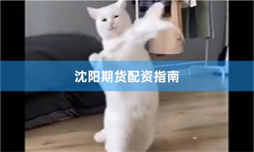 沈阳期货配资指南