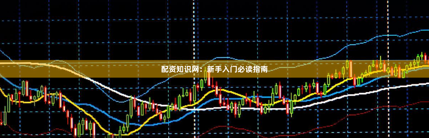 配资知识网：新手入门必读指南